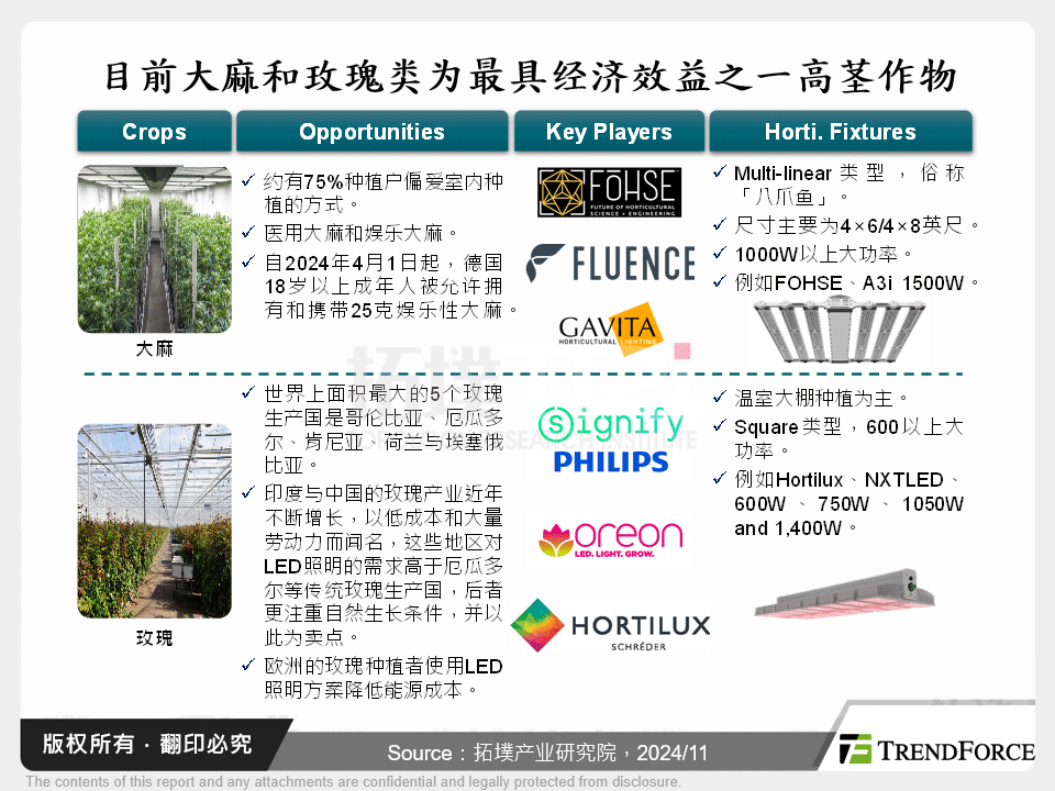 目前大麻和玫瑰类为最具经济效益之一高茎作物