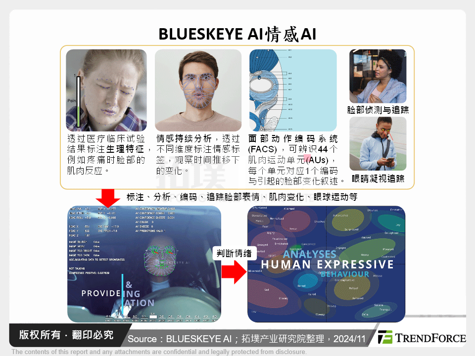 BLUESKEYE AI情感AI