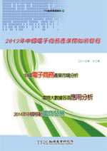 2013年中国电子商务产业开始新啓程